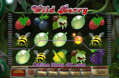 Wild Berry Slot Game Bonus Game