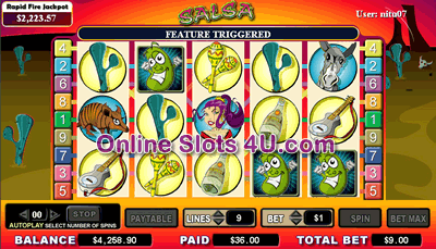 Salsa Slot Game Bonus Game
