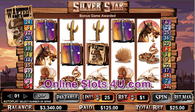 Silver Star Slot Game Bonus Game
