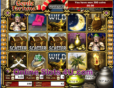 Genie Fortune Slot Game Bonus Game