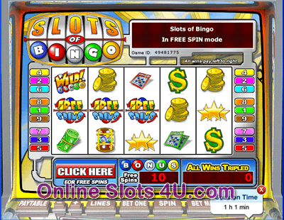 Slots of Bingo Slot Game Bonus Game