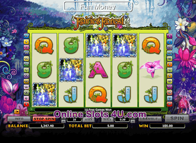Fairies Forest Slot Game Bonus Game