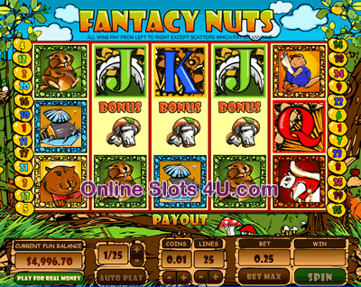 Fantacy Nuts Slot Game Bonus Game