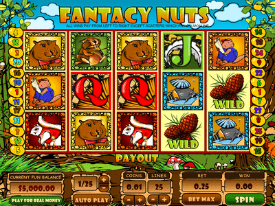 Fantacy Nuts Slot Game Bonus Game