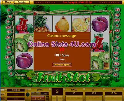 Fruit Slot Game Bonus Game