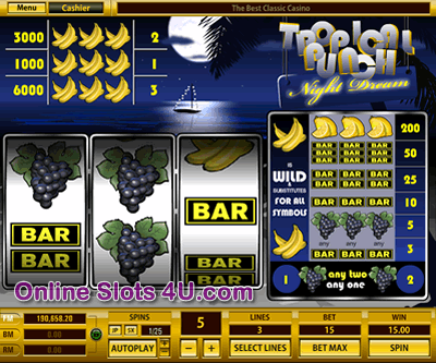 Tropical Punch Night Dream
 Slots Game